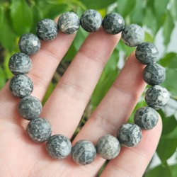 ��ǰ ������