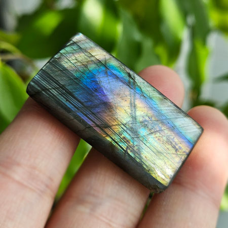 ��ǰ ������